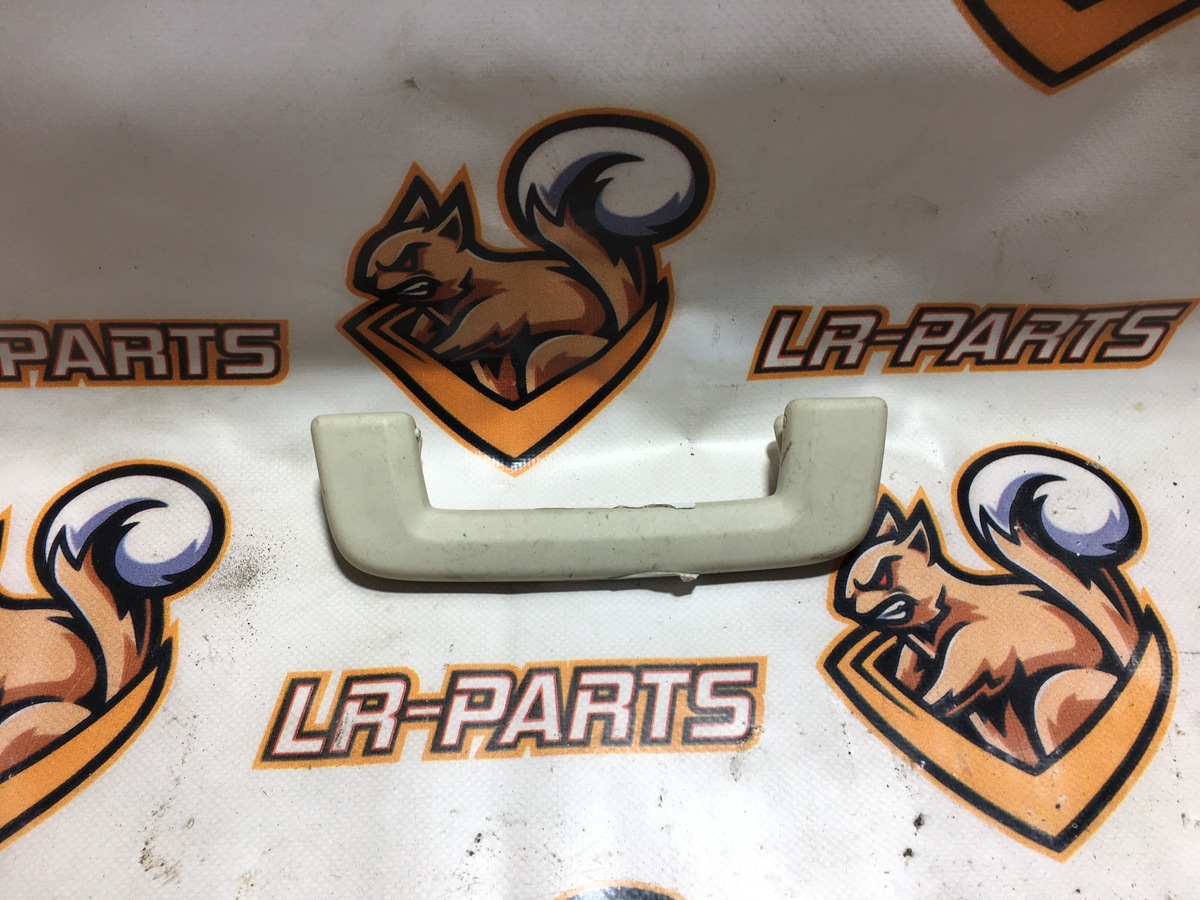 EDN500120NUG Handrail front Range Rover Sport L320 (2005-2013) Used